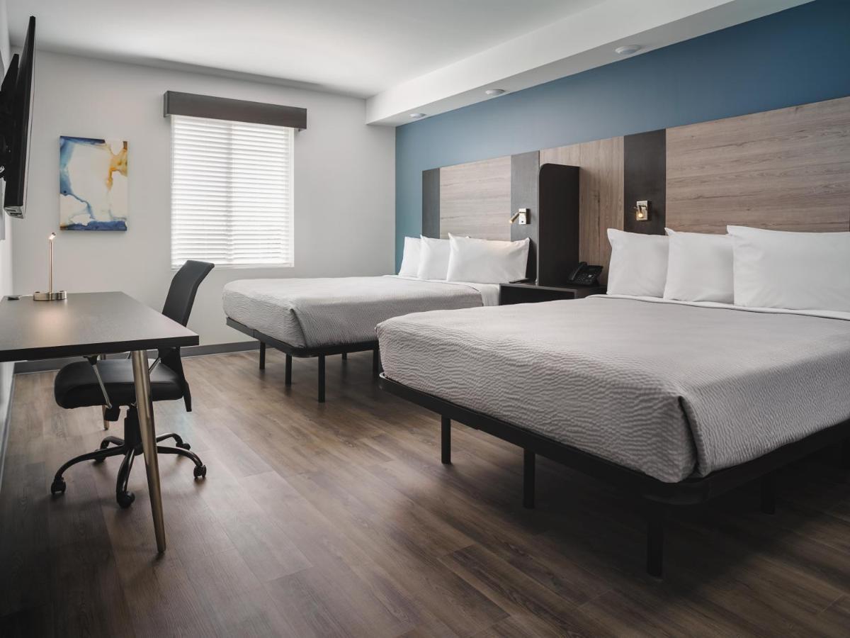 Stayapt Suites San Antonio-Randolph Live Oak Zewnętrze zdjęcie